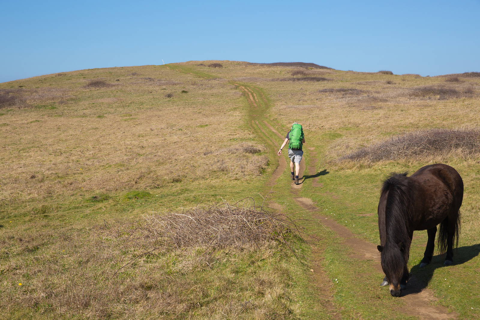 walking events uk